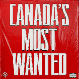 TorontoVVS